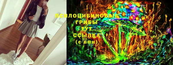 ГАЛЛЮЦИНОГЕННЫЕ ГРИБЫ Алзамай