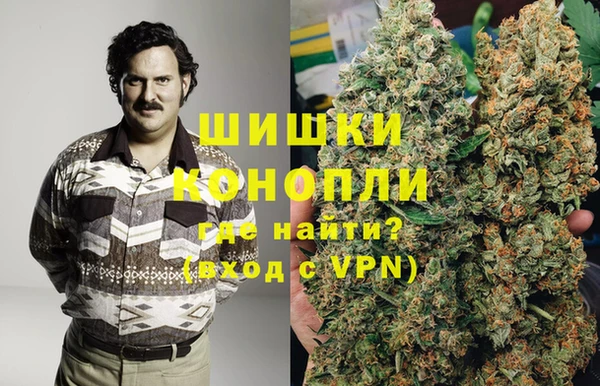 ГАЛЛЮЦИНОГЕННЫЕ ГРИБЫ Алзамай