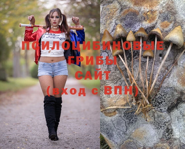 гашиш Абинск