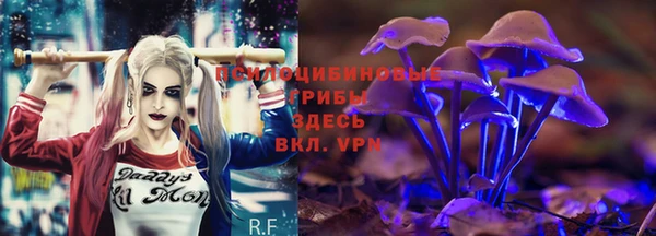 марихуана Абаза