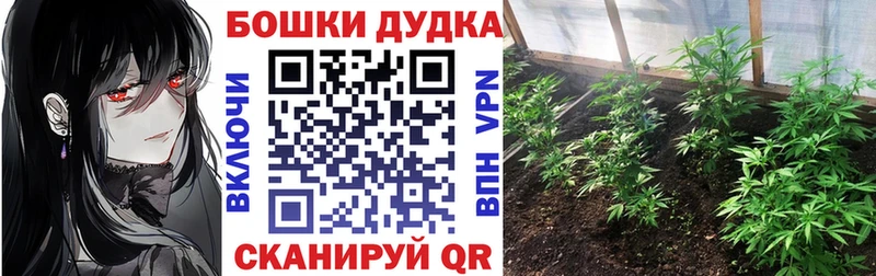 Бошки Шишки OG Kush  hydra сайт  Кудымкар 